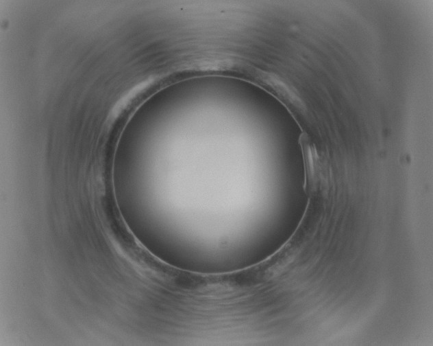 X0000076400536200610202132