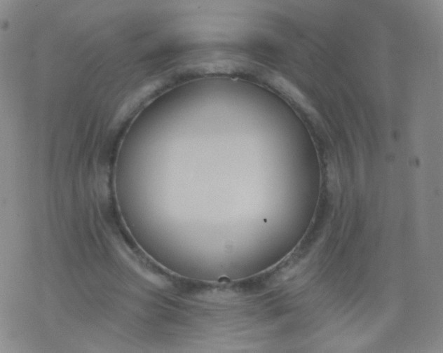 X0000076400537200610202132