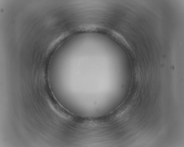 X0000076400538200610202132