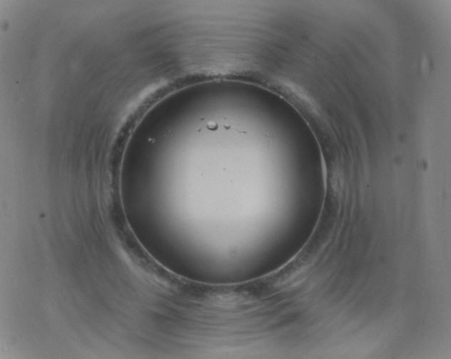 X0000076400540200610202132