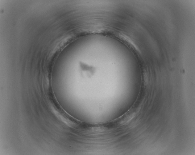 X0000076400541200610202132