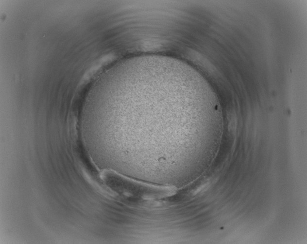 X0000076400542200610202132