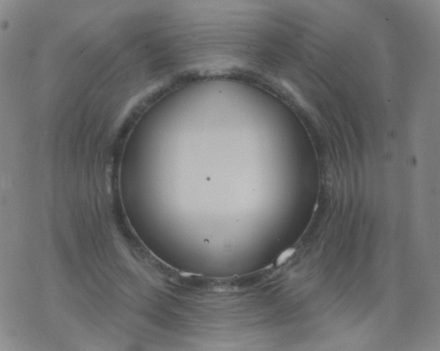 X0000076400543200610202132