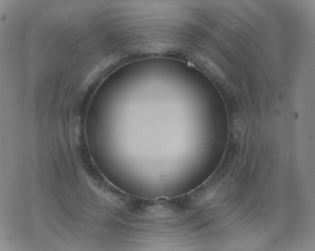 X0000076400544200610202132