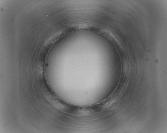 X0000076400545200610202132