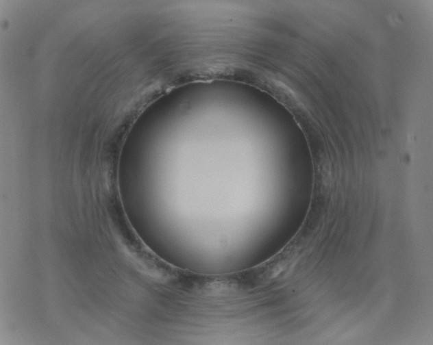 X0000076400546200610202132