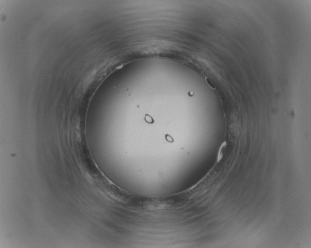 X0000076400547200610202132