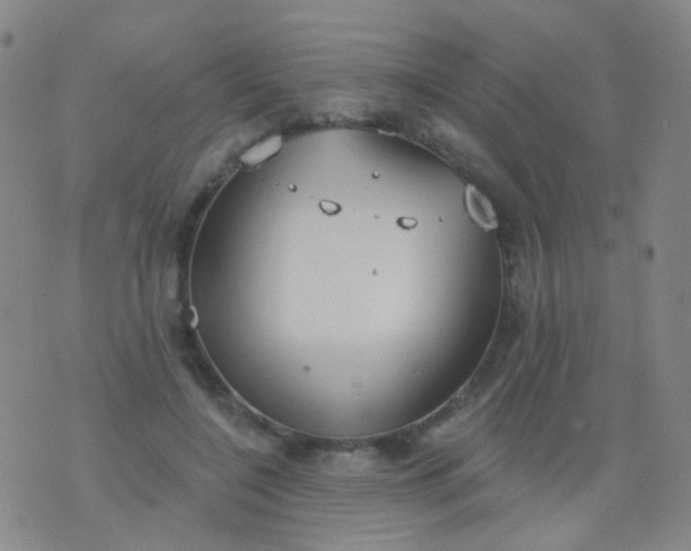 X0000076400548200610202132