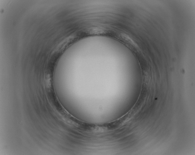 X0000076400549200610202132