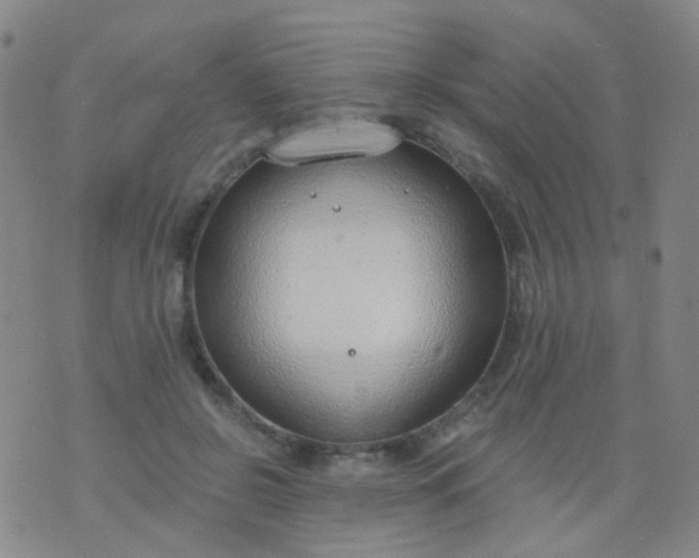 X0000076400550200610202133