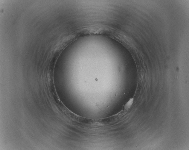 X0000076400551200610202133