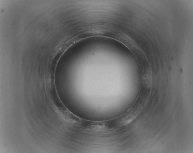 X0000076400552200610202133