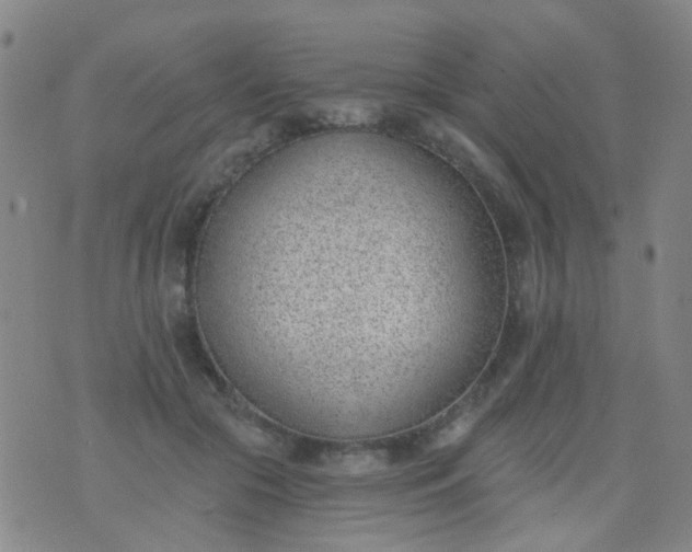 X0000076400553200610202133