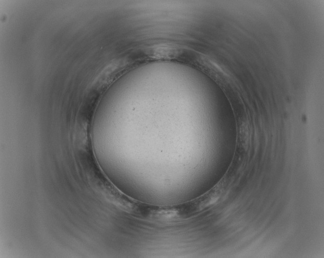 X0000076400554200610202133