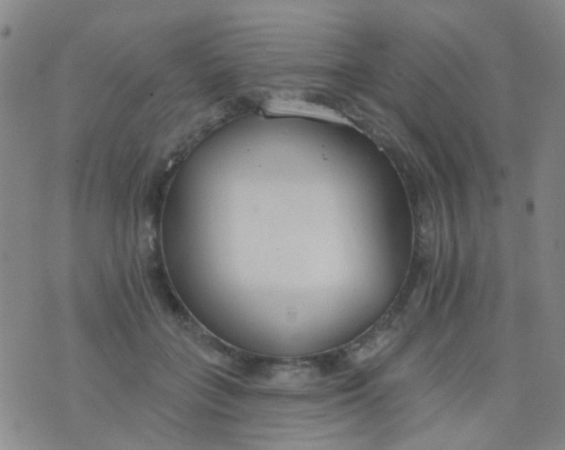 X0000076400555200610202133