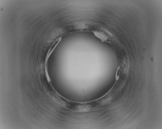 X0000076400556200610202133