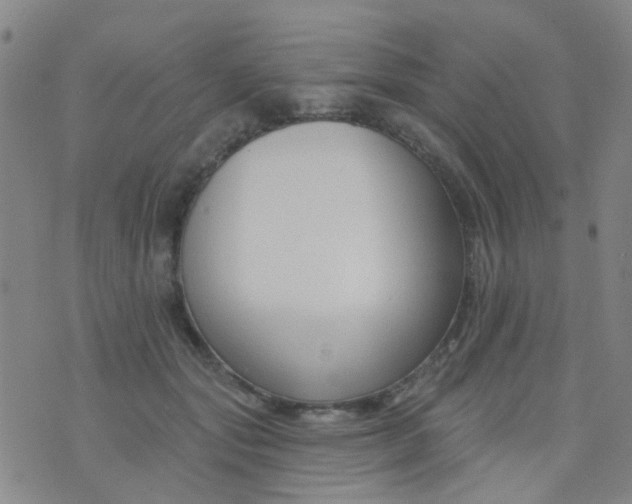 X0000076400557200610202133