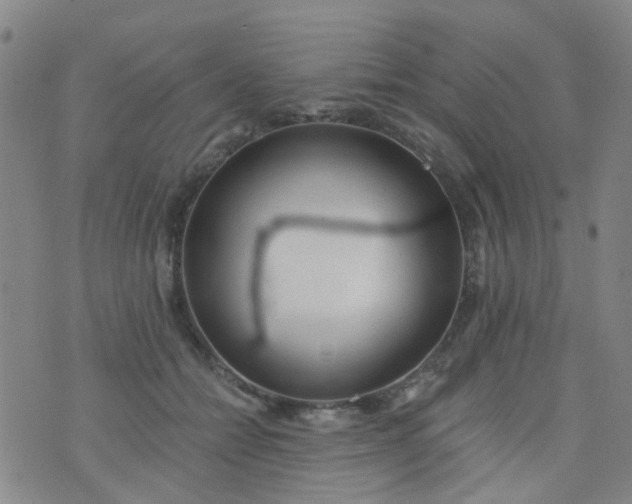 X0000076400558200610202133