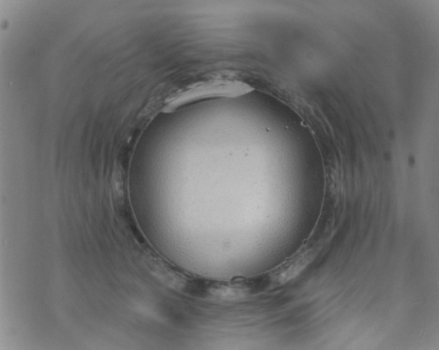 X0000076400561200610202133