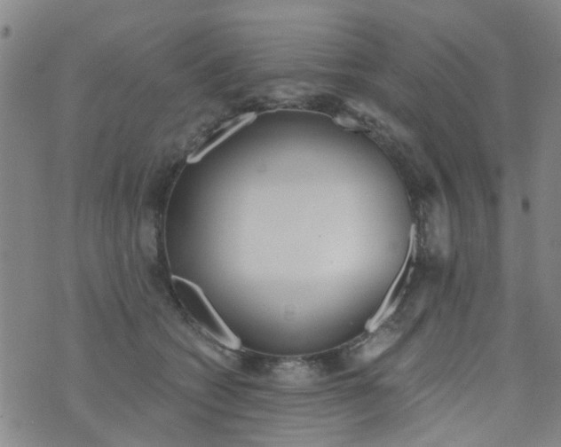 X0000076400562200610202133