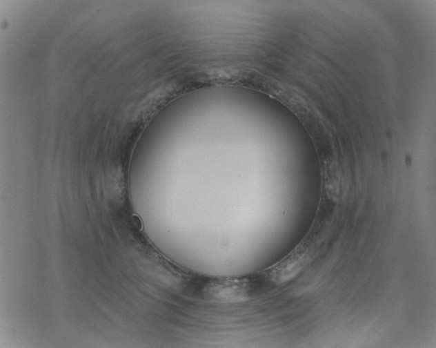 X0000076400563200610202133