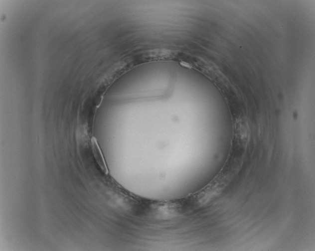 X0000076400564200610202133