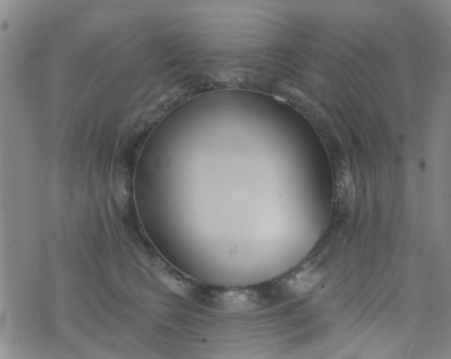 X0000076400566200610202133