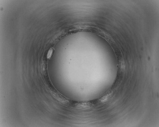 X0000076400567200610202133