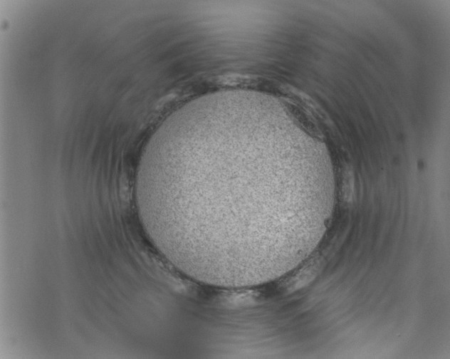 X0000076400569200610202133