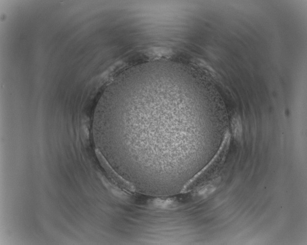 X0000076400570200610202133