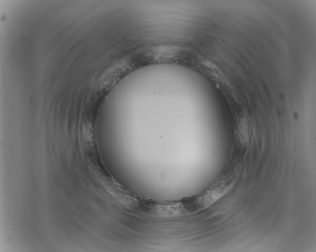 X0000076400571200610202133