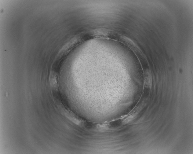 X0000076400573200610202133