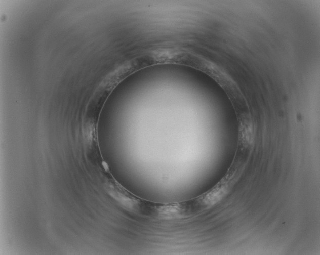 X0000076400574200610202133