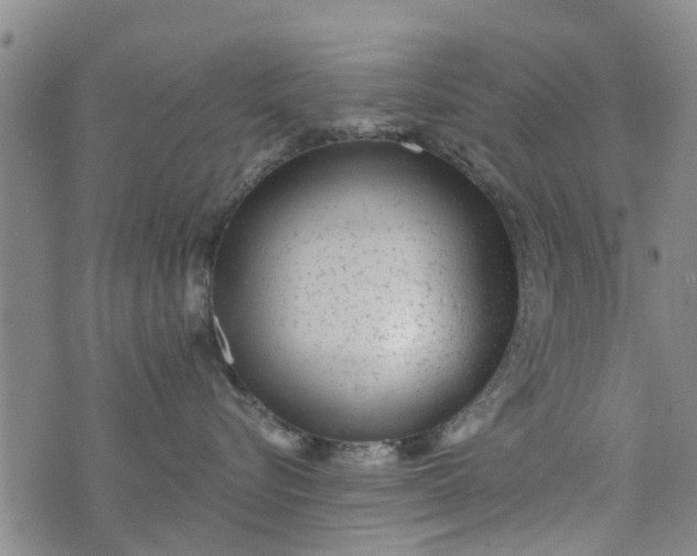 X0000076400576200610202133