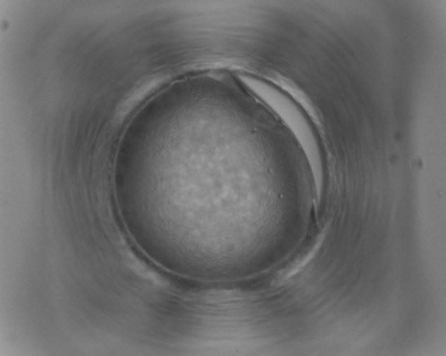 X0000076400577200610202132