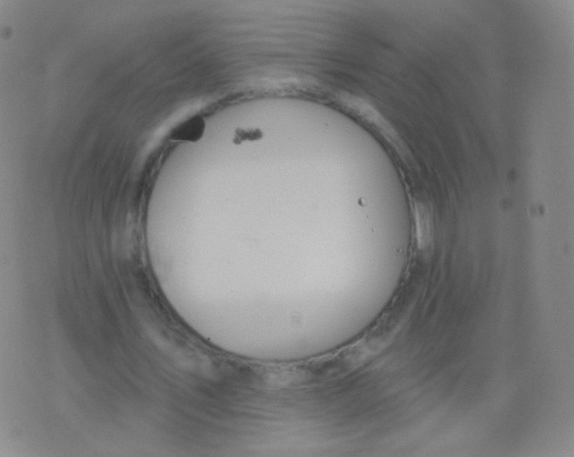 X0000076400579200610202132