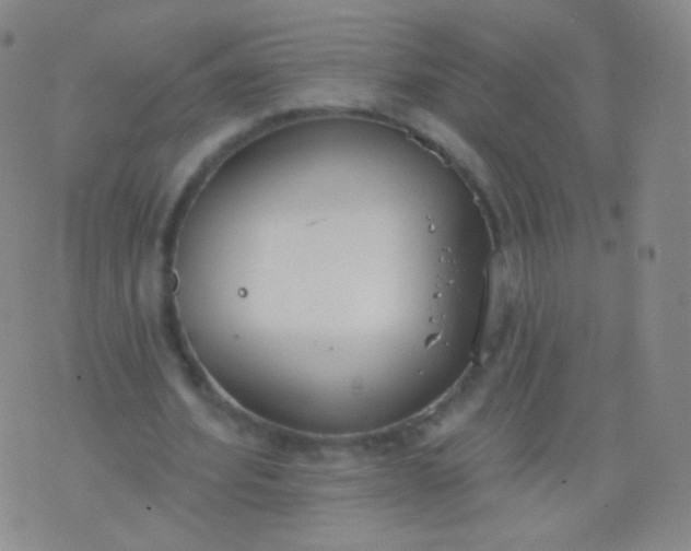 X0000076400580200610202132