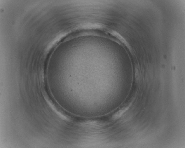 X0000076400581200610202132