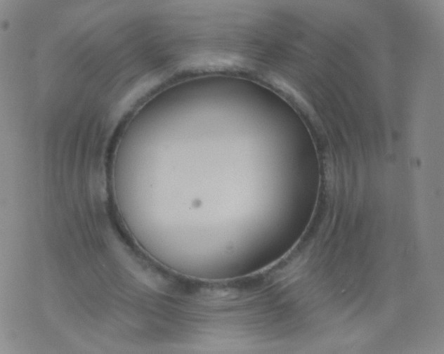 X0000076400582200610202132