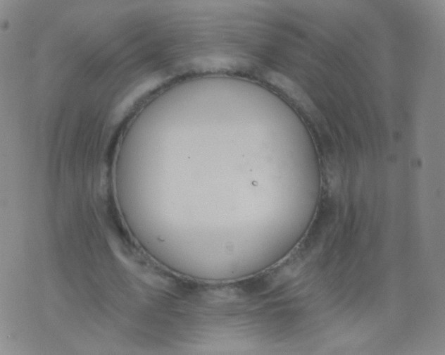 X0000076400583200610202132