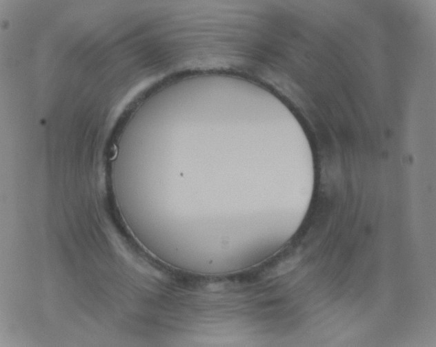 X0000076400584200610202132