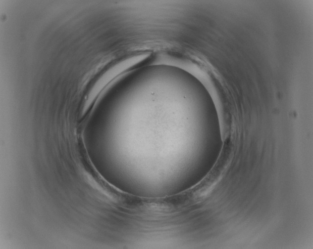 X0000076400585200610202132