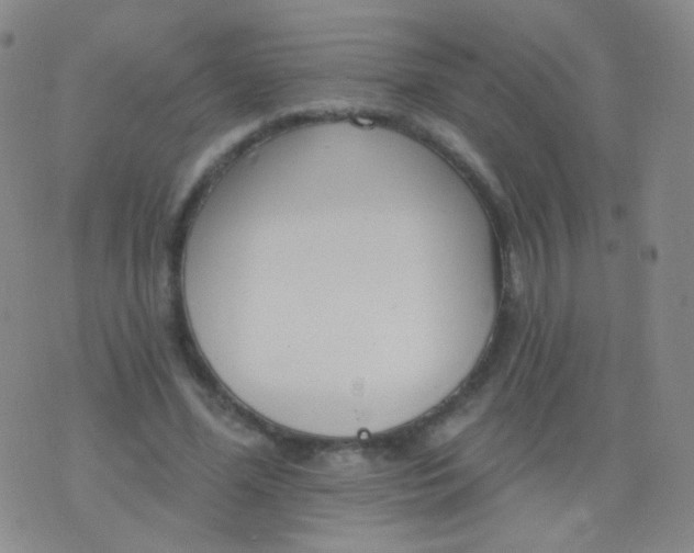 X0000076400588200610202132