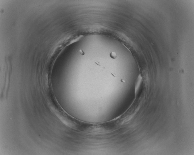 X0000076400589200610202132