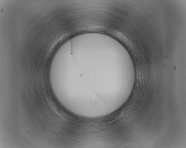 X0000076400591200610202132