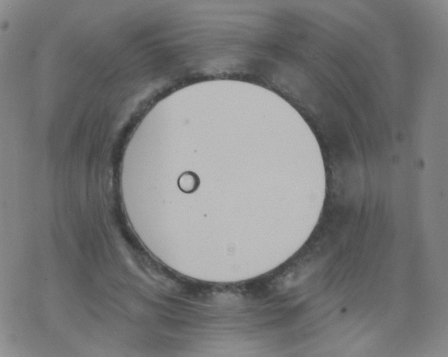 X0000076400592200610202132