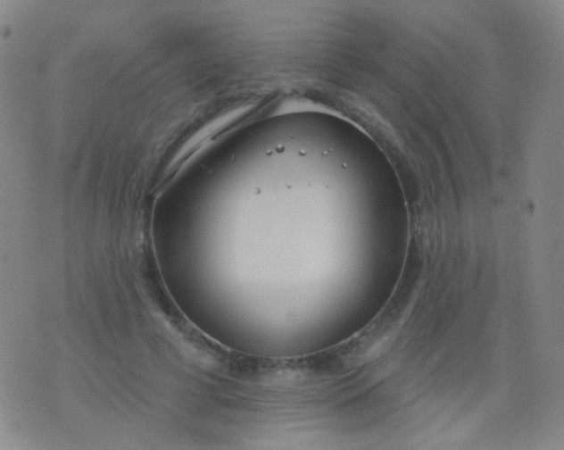 X0000076400593200610202132