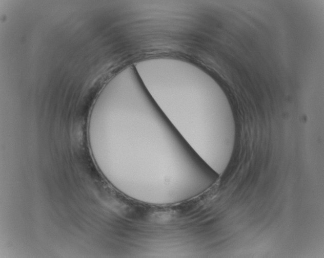 X0000076400595200610202132