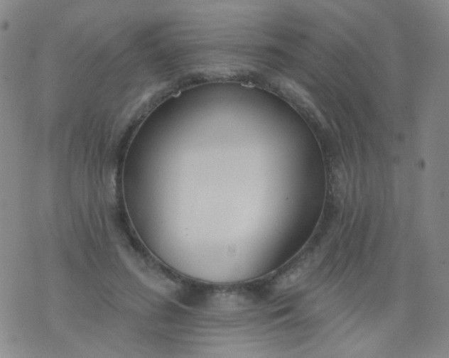 X0000076400596200610202132