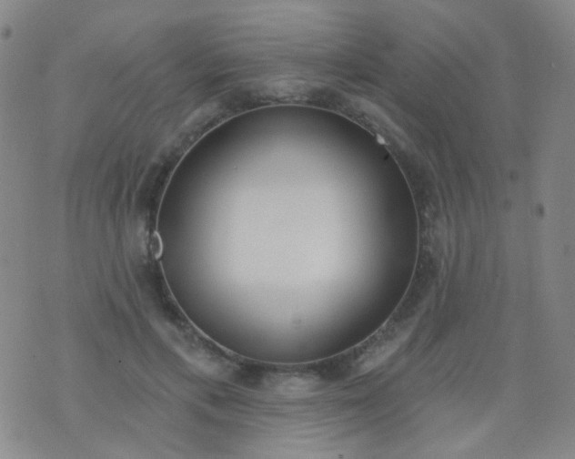 X0000076400597200610202132